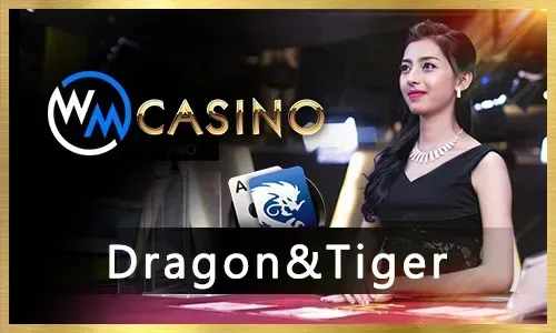 Slots Games